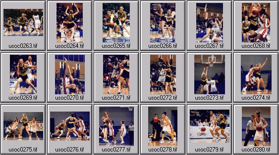 womens basketball photos -- olympic cup