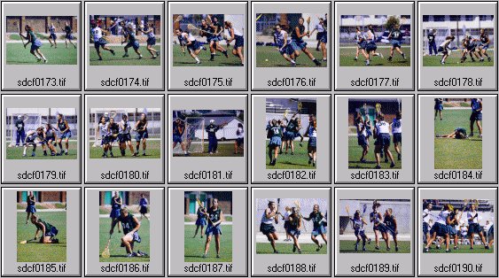 prep womens lacrosse photos