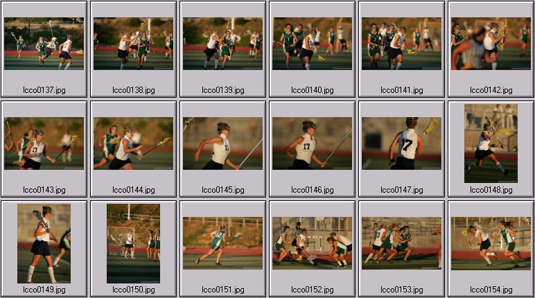 women's lacrosse stock photos