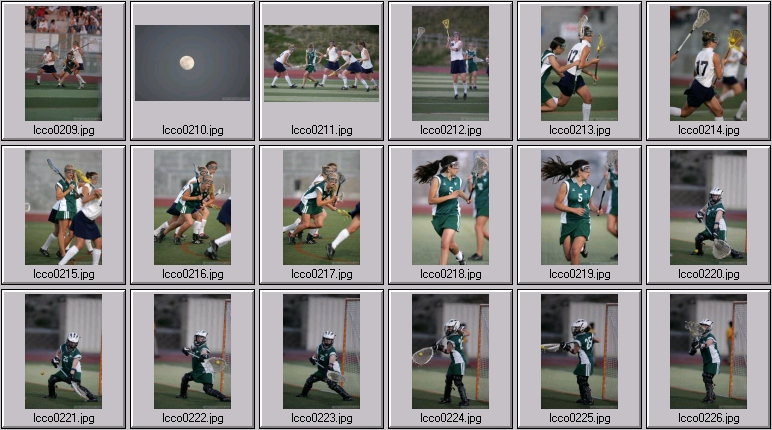 women's lacrosse stock photos