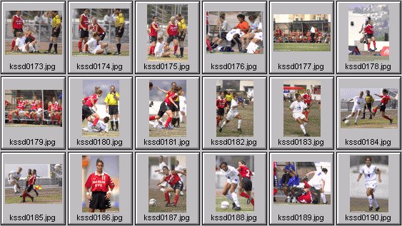 womens soccer photos