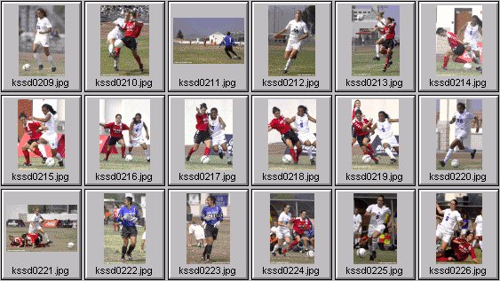 womens soccer photos