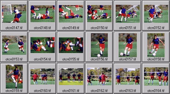 womens soccer photos