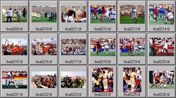 womens soccer photos