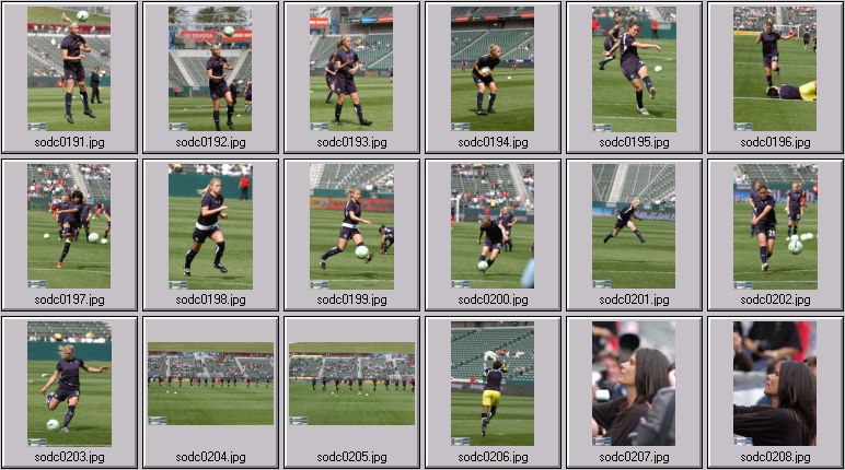 women's professional soccer