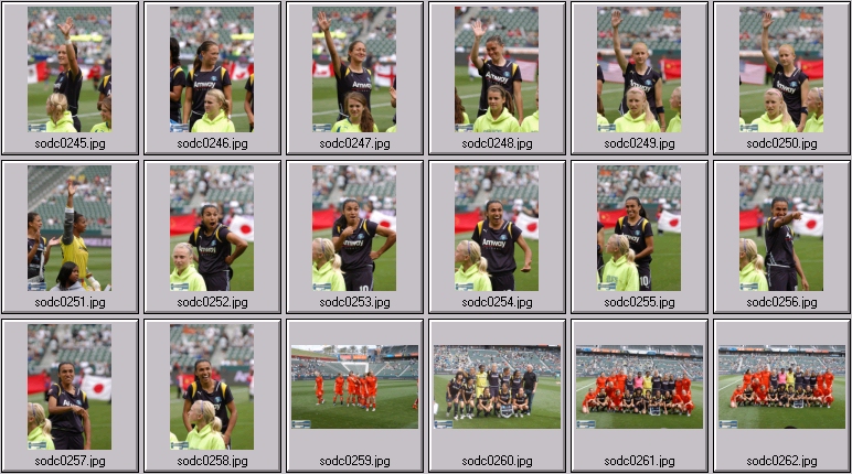 women's professional soccer