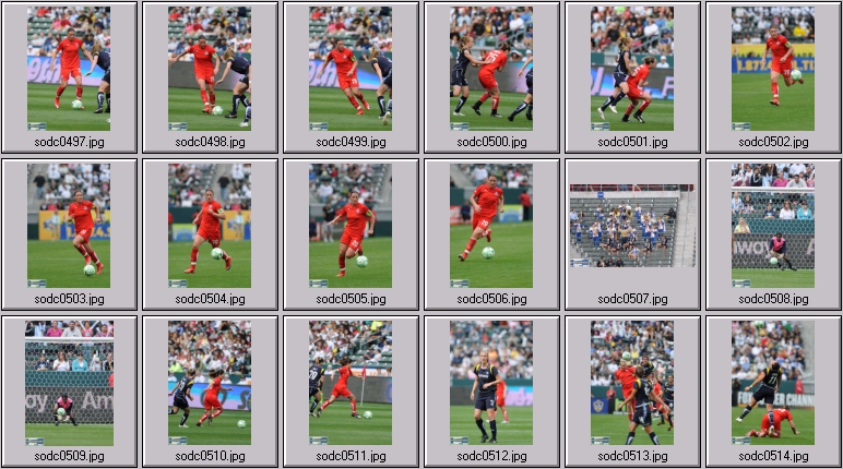 women's professional soccer