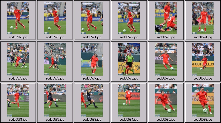 washington freedom wps