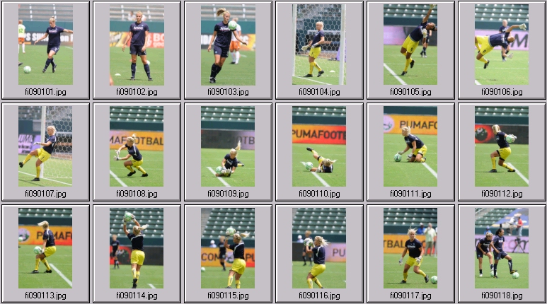 wps championship game