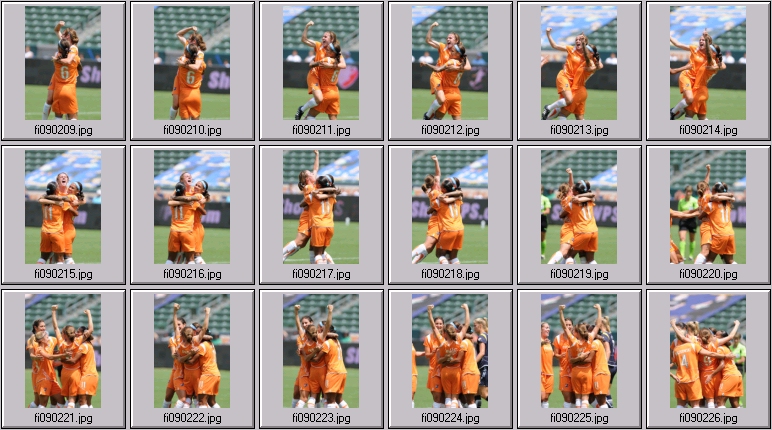 wps championship game