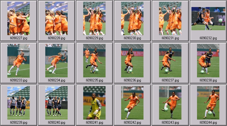 wps championship game