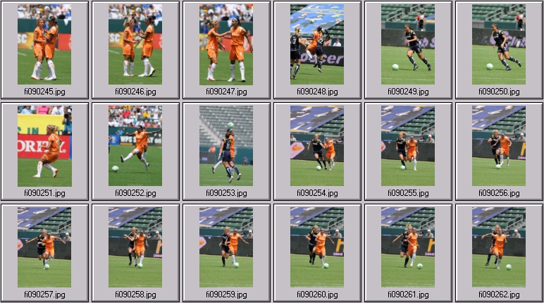 wps championship game