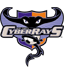 bay area cyber rays - womens soccer