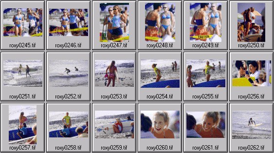 2000 Roxy Wahine women's surfing photos