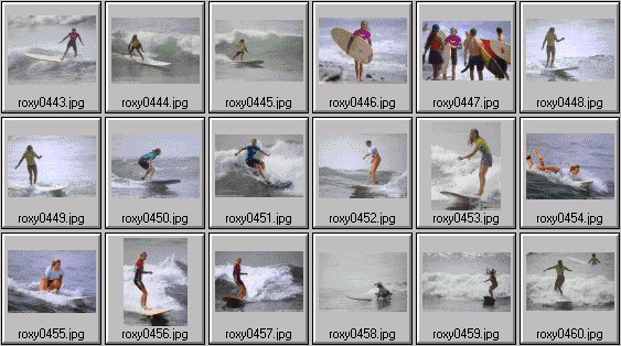 2000 Roxy Wahine women's surfing photos