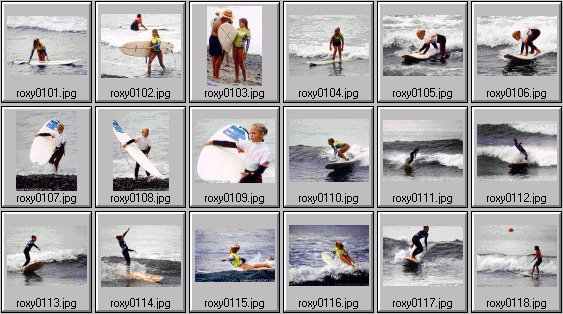 1999 Roxy Wahine women's surfing photos