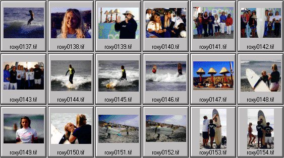 1999 Roxy Wahine women's surfing photos