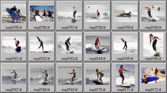 1999 Roxy Wahine women's surfing photos