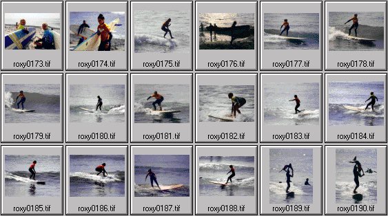 1999 Roxy Wahine women's surfing photos