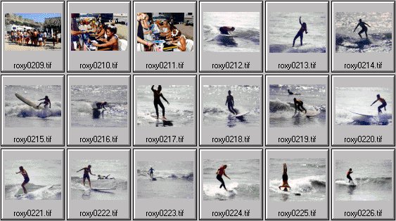 1999 Roxy Wahine women's surfing photos