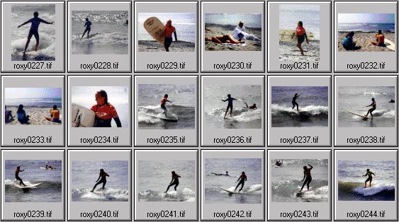 1999 Roxy Wahine women's surfing photos