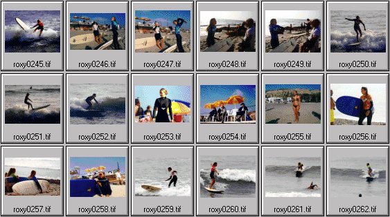 1999 Roxy Wahine women's surfing photos