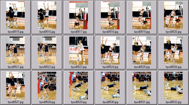 women's collegiate volleyball