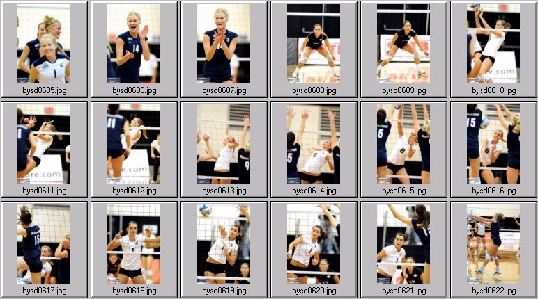 women's collegiate volleyball