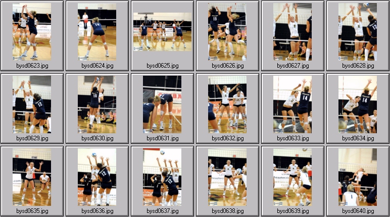 women's collegiate volleyball