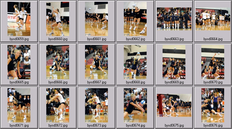 women's ncaa volleyball