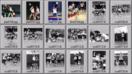 womens volleyball photos