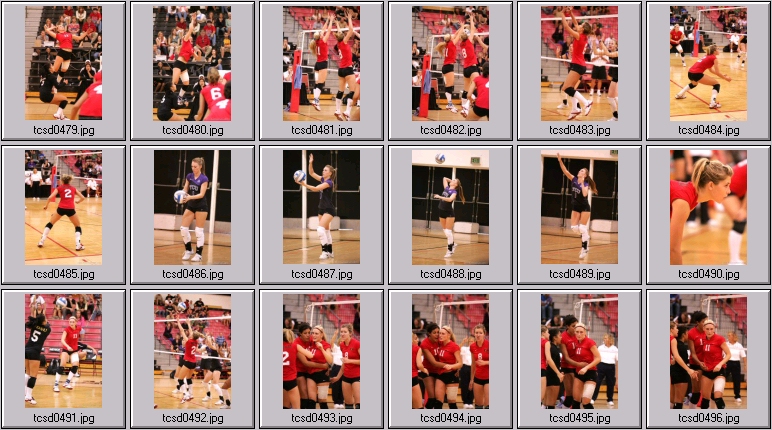 women's volleyball players