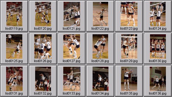 womens volleyball photos