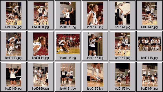 womens volleyball photos