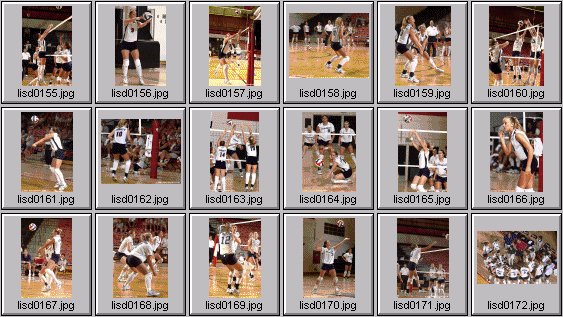 womens volleyball photos