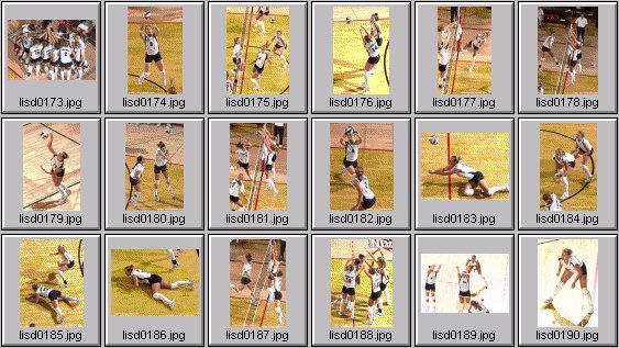 womens volleyball photos