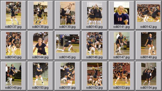 womens volleyball photos