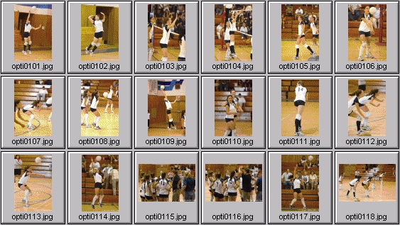 womens volleyball photos