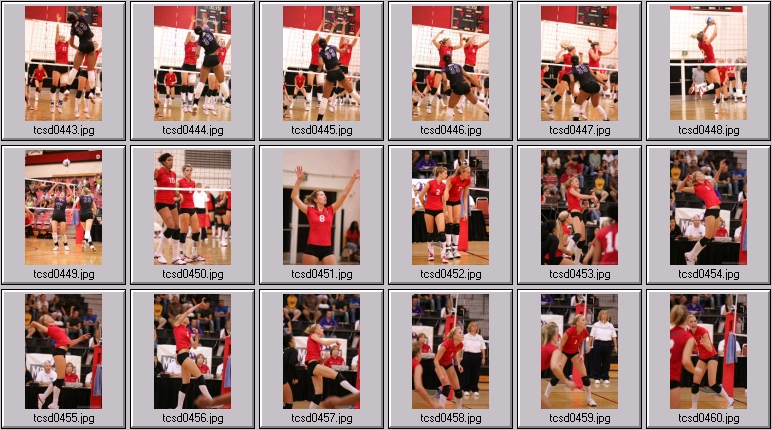 women's volleyball stock sports photos